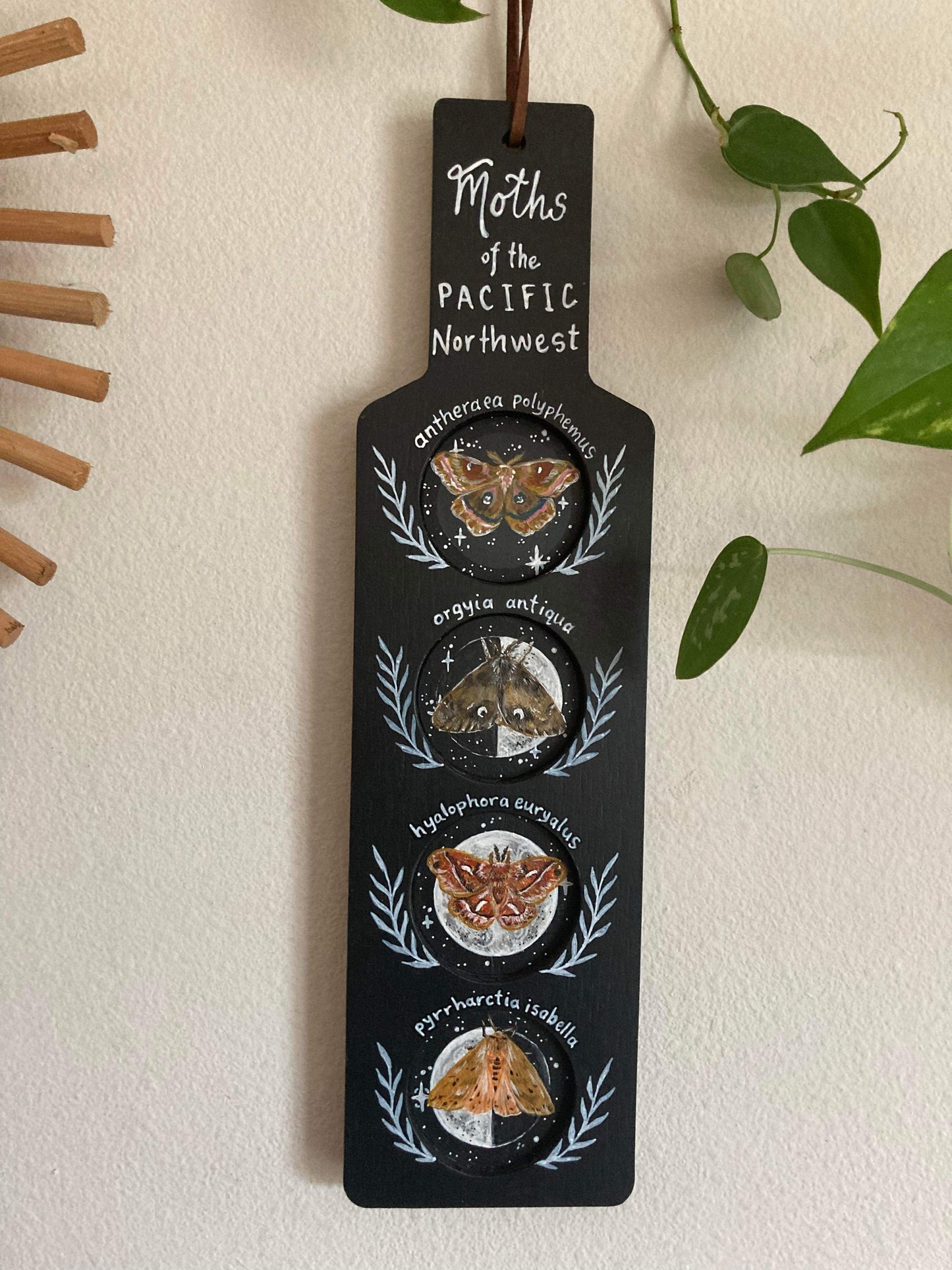 Moths of the PNW upcycled beer flight paddle