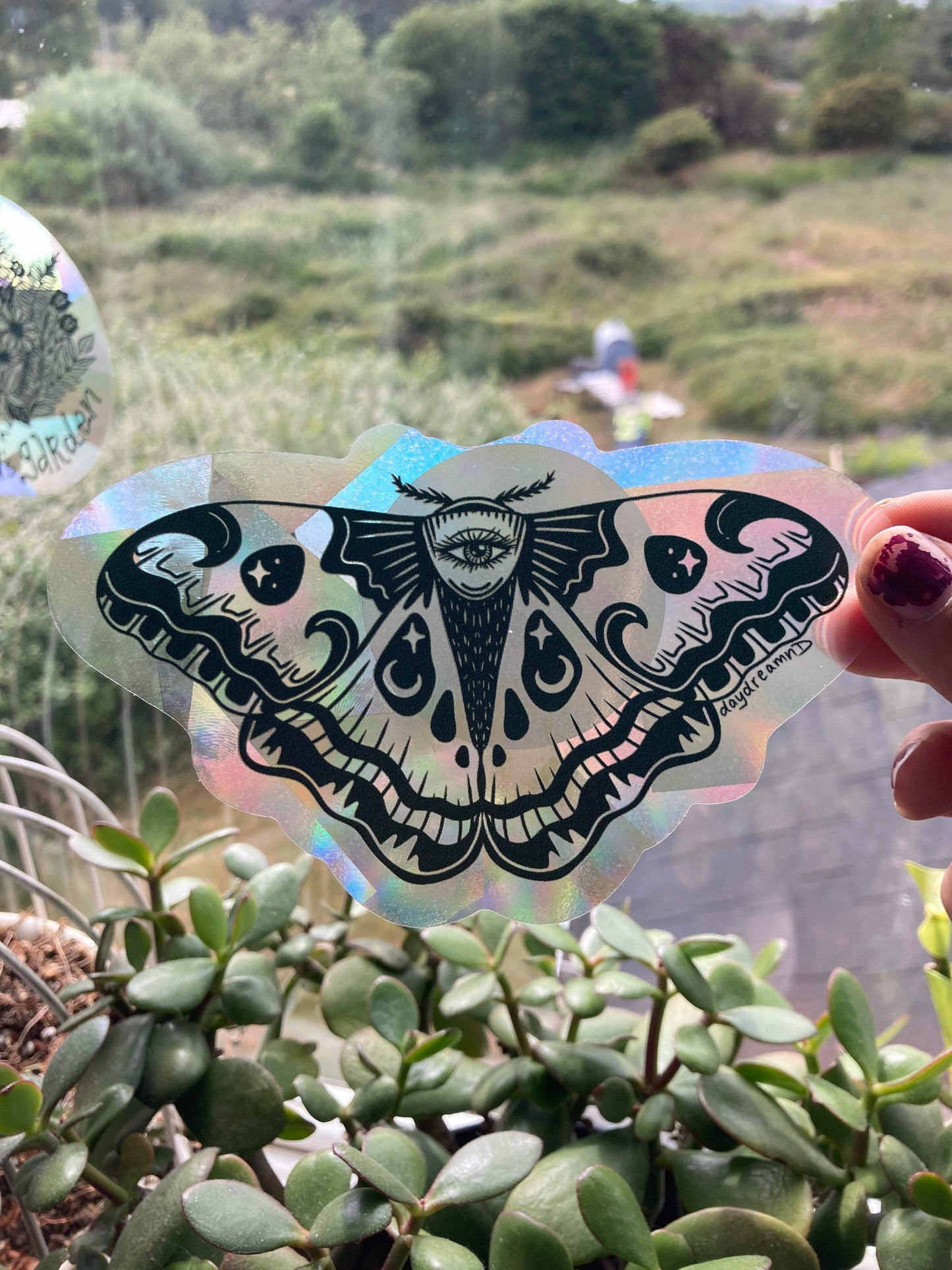 Eye Moth Suncatcher Window Decal