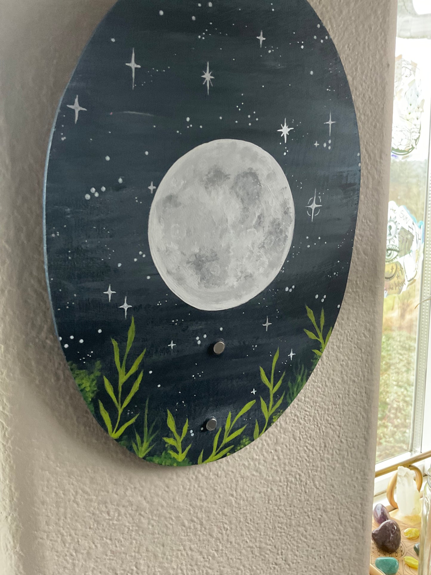 Full Moon plant propagation wall hanging