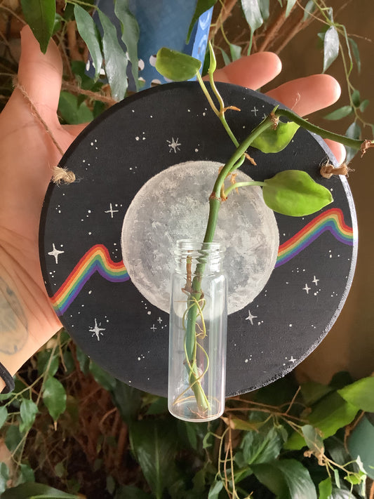 Full Moon Rainbow Wall Hanging With Magnetic Propagation Bottle