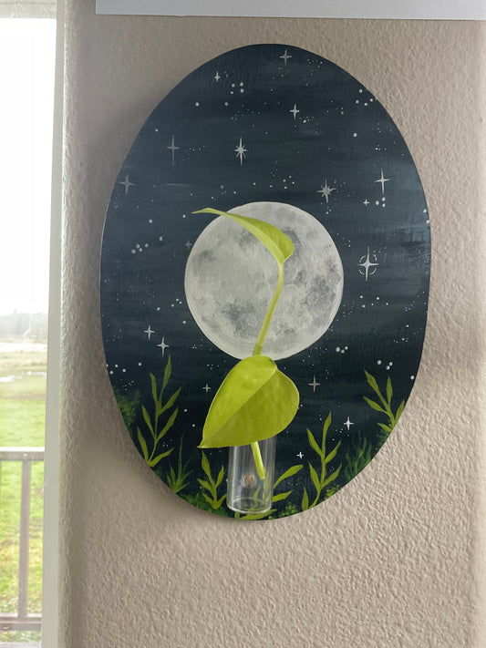 Full Moon plant propagation wall hanging