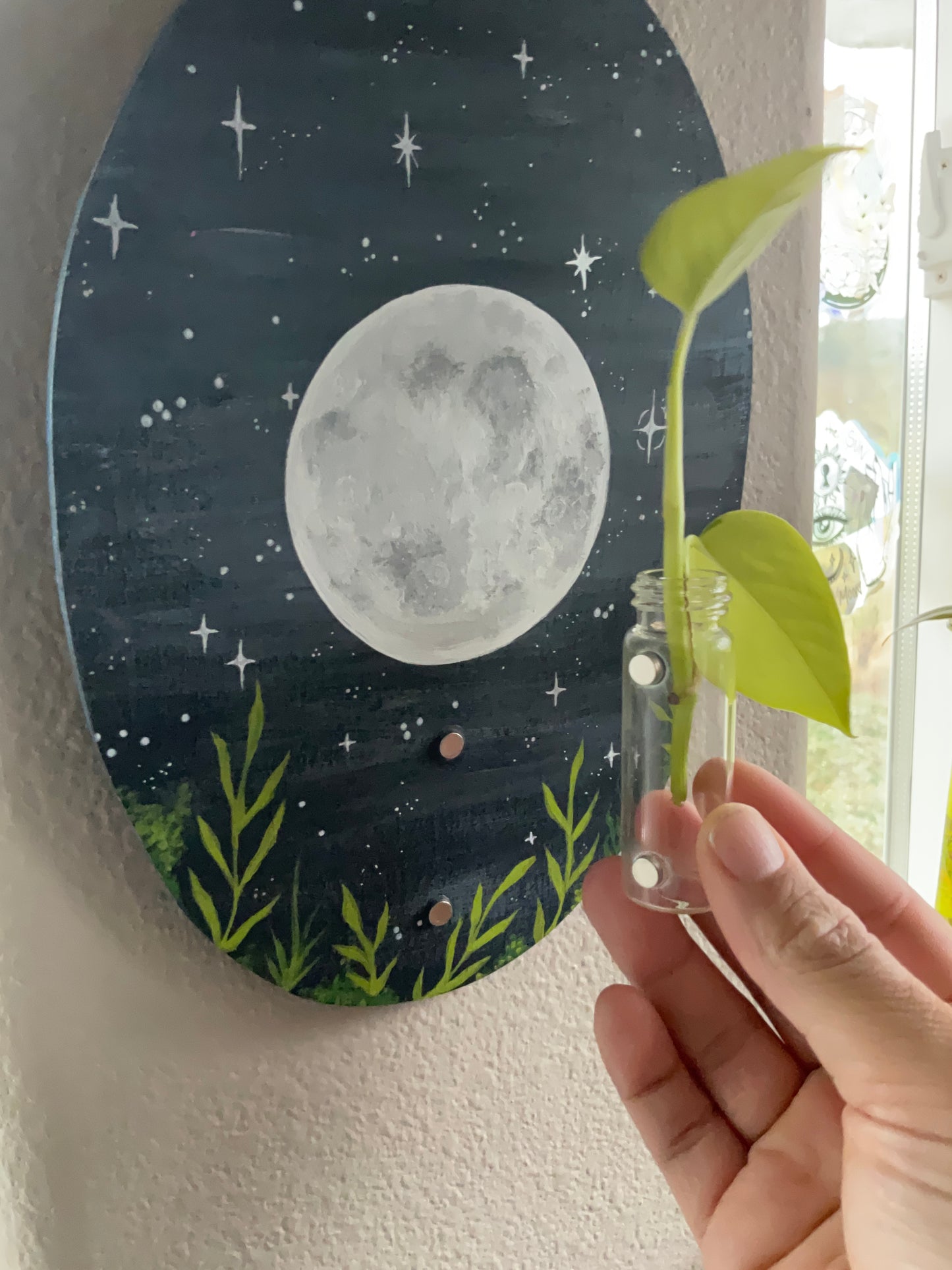 Full Moon plant propagation wall hanging